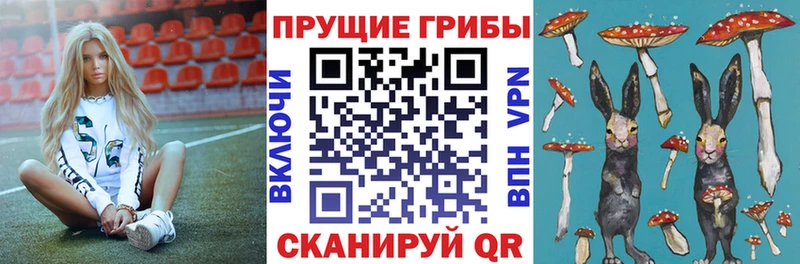 KRAKEN ССЫЛКА  магазин    мориарти состав  Псилоцибиновые грибы Magic Shrooms  Ржев 