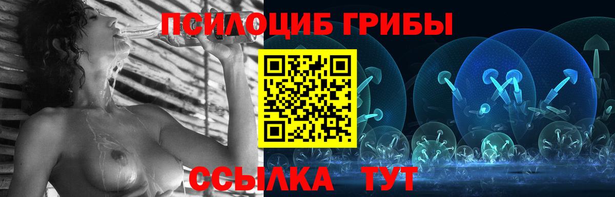 Псилоцибиновые грибы мицелий Ржев